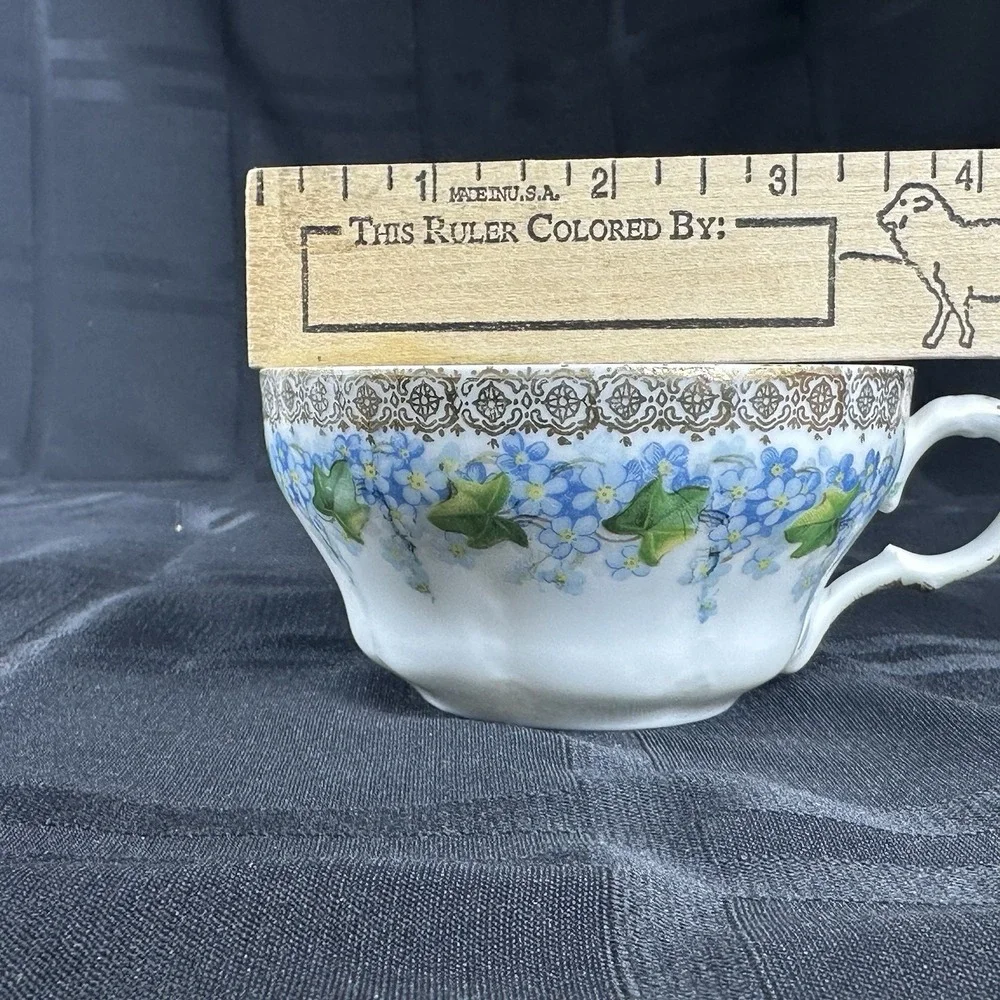Forget-Me-Not Tea cup Saucer Translucent Fine Porcelain Gold Filigree Ivy ANTQ